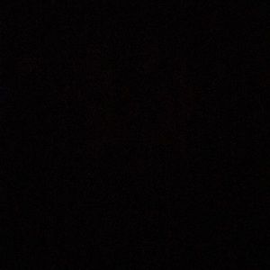 Meet your Posher, Lashaya